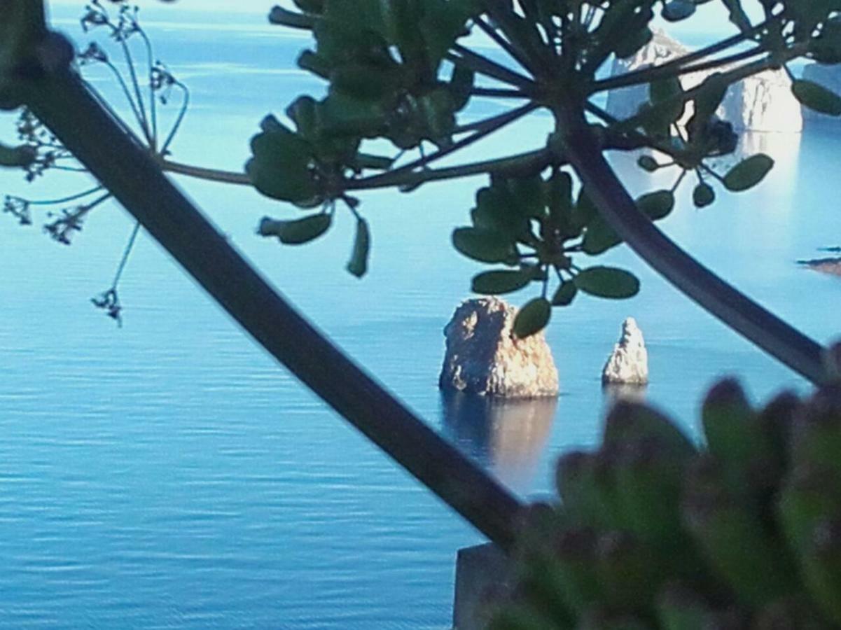 Il Dolce Risveglio Tanca Piras Villa Nebida Eksteriør billede