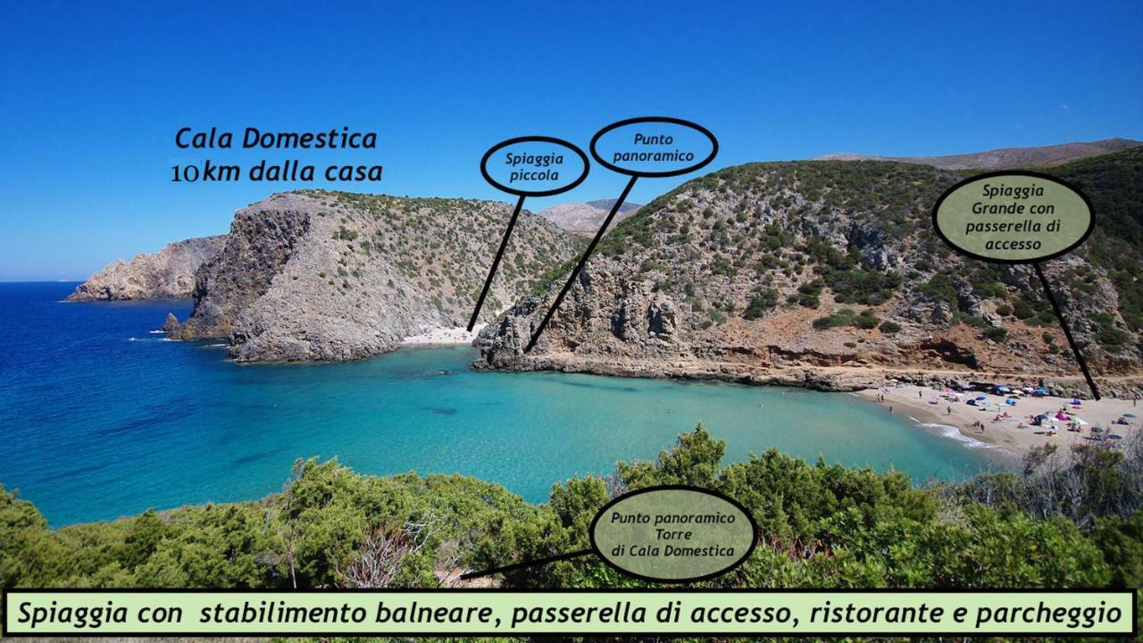 Il Dolce Risveglio Tanca Piras Villa Nebida Eksteriør billede